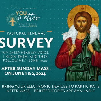 Pastoral Renewal - Survey
